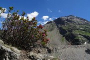 CAPANNA BOVAL AL GHIACCIAIO DEL MORTERATSCH il 18 luglio 2016 - FOTOGALLERY